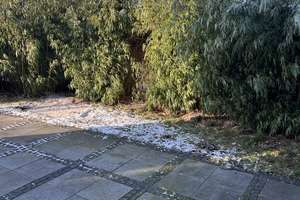 Property thumbnail 58