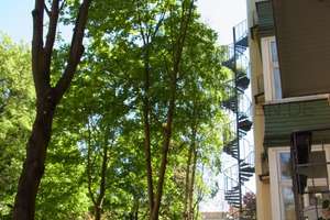GRAPHISCHEN VIERTEL. Stilvolle 2-Zimmer. LIFT. DACHTERRASSE. tw. PARKETT & die City vor der Haustür – Die vollständige Adresse der Immobilie erhältst du vom Anbieter., 4103 Zentrum-Ost, Leipzig – Vorschaubild 2