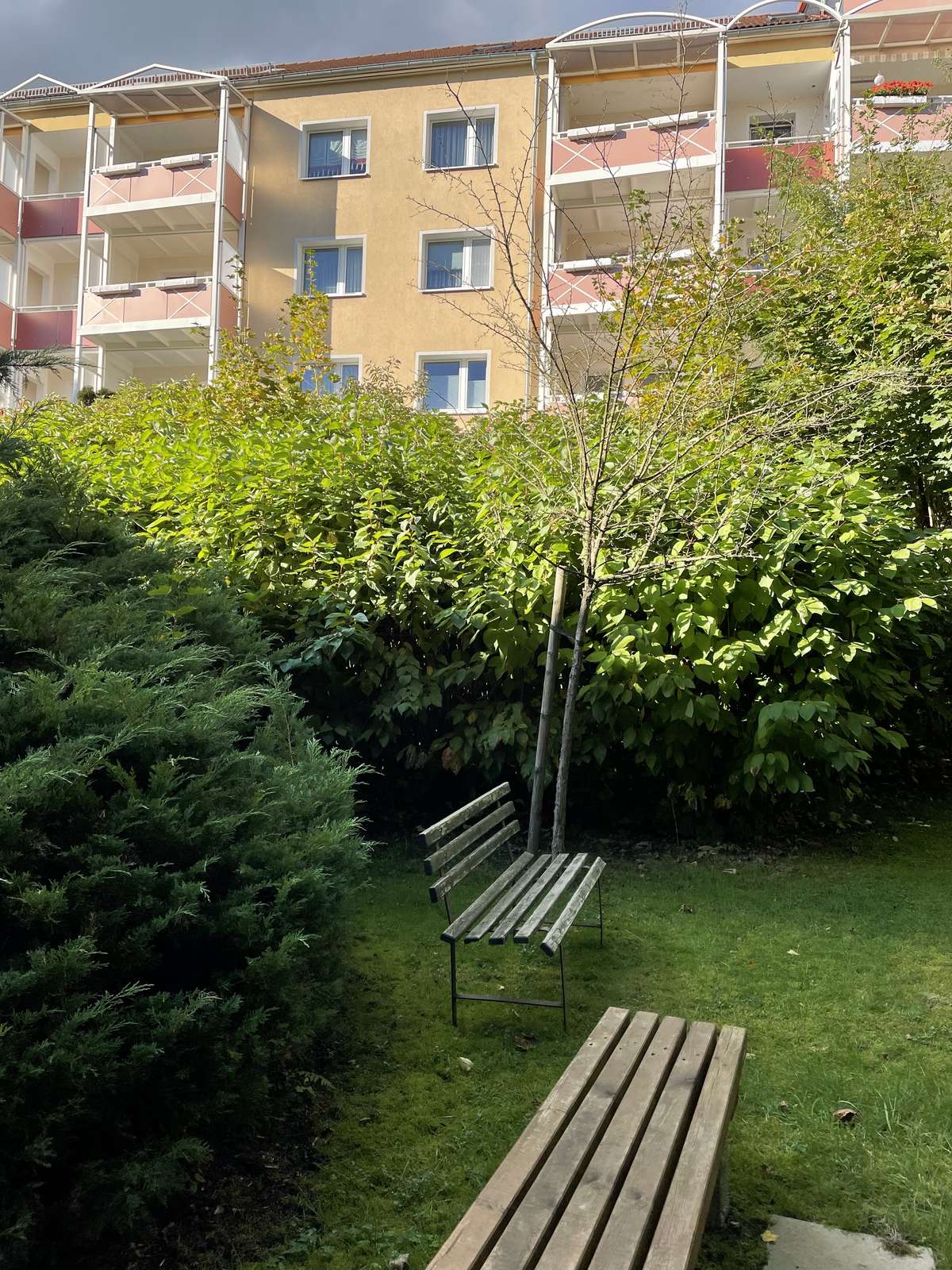 Garten