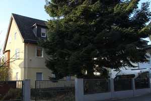 Großes Haus im südlichen Bessungen mit tollem Garten! – Darmstadt – Vorschaubild 2