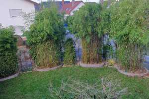 Zuhause ist dort, wo Ihr Herz auch dafür schlägt... Schauen Sie hier mal rein!  – Rhein-Neckar-Kreis – Vorschaubild 23