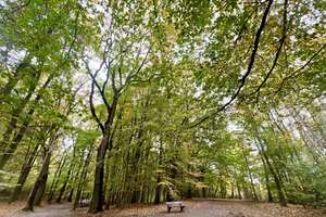 Property thumbnail 18