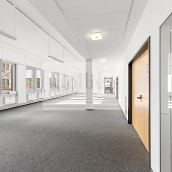 Flexible Grundrisse | Isolierverglaste Fenster | Hausmeisterservice inklusive