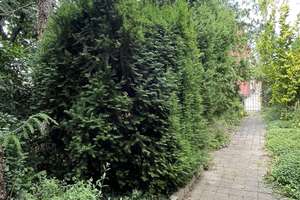 Idyllisch wohnen!  – Die vollständige Adresse der Immobilie erhältst du vom Anbieter., 6406 Bernburg (Saale) – Vorschaubild 8