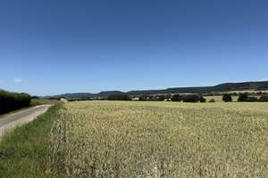 Charmantes Einfamilienhaus mit Einliegerwohnung – Im Höxter 26, 31840 Hessisch Oldendorf – Vorschaubild 7