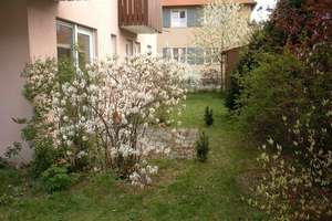 Schöne 2-Zimmer-Wohnung mit Terrasse und Garten zentrumsnah – Die vollständige Adresse der Immobilie erhältst du vom Anbieter., 91052 Anger, Erlangen – Vorschaubild 7