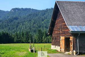 Einzigartiges Naturjuwel in den Allgäuer Alpen – anerkannte Alpe mit Wald- und Weideflächen – Die vollständige Adresse der Immobilie erhältst du vom Anbieter., 87538 Balderschwang – Vorschaubild 6