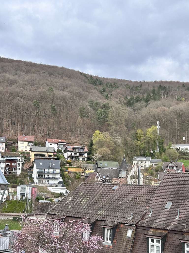 Immobilie in Neckarsteinach - Seltene Gelegenheit: Bebautes Grundstück in Altstadtlage von Neckarsteinach – kein Denkmalschutz !!! - Bild 2