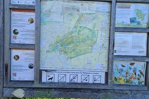 Charmante 3-Zimmer-Maisonettewohnung, TG-Stellplatz & Balkon in grüner Lage von Hamburg Meiendorf – Die vollständige Adresse der Immobilie erhältst du vom Anbieter., 22145 Rahlstedt, Hamburg – Vorschaubild 37
