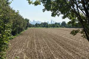 2-Zi-Wohlfühloase|Skyline-Blick|Top Ausstattung|Möbliert|Gepflegt|Ideale Anbindung – 61449 Steinbach (Taunus) – Vorschaubild 2
