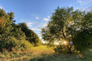 Property thumbnail 20