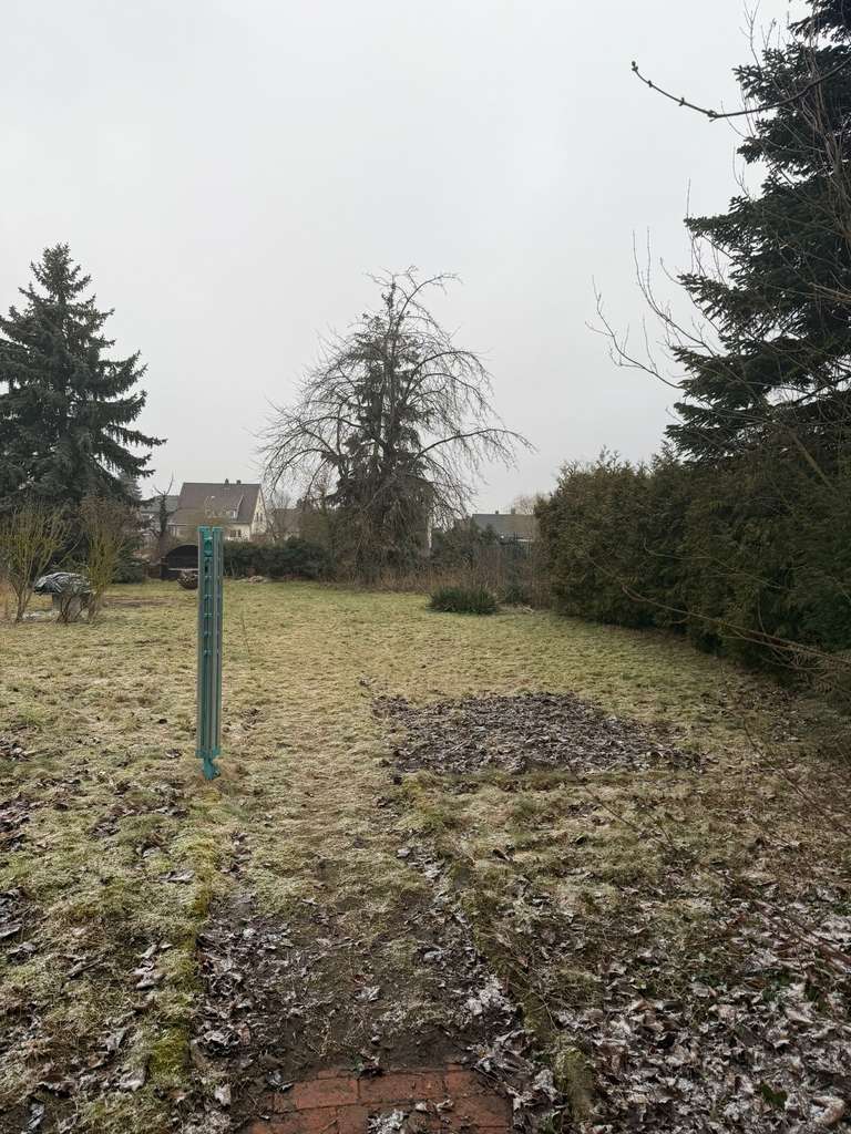 Immobilie in Söhlde - Mehrfamilienhaus mit vier Einheiten in Hoheneggelsen OT Söhlde - Bild 2