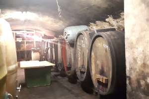 Rheinhessische Hofreite - Ehemaliges Weingut mit Charme aus dem Jahr 1883! 1000m² Ausbaureserve - PR – Die vollständige Adresse der Immobilie erhältst du vom Anbieter., 55288 Armsheim – Vorschaubild 18