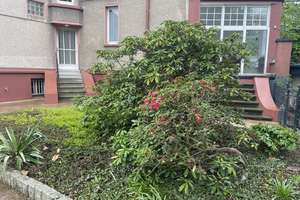 4 Zimmer Erdgeschoss -ETW  in Solingen  mit Wintergarten  und Terrasse in einer Villa – Die vollständige Adresse der Immobilie erhältst du vom Anbieter., 42651 Solingen-Mitte, Solingen – Vorschaubild 4