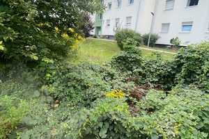 Bad Wimpfen, Nähe Friedhof, großes Grundstück, älteres renovierungsbedürftiges EFH – Rappenauerstraße 39, 74206 Heilbronn (Kreis) – Vorschaubild 46