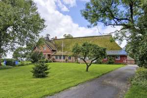 Charmantes Reetdach-Anwesen nahe der Elbe 
- Wohnen, Ferienvermietung & Pferdehaltung auf 10.480 m² – Die vollständige Adresse der Immobilie erhältst du vom Anbieter., 25599 Wewelsfleth – Vorschaubild 17