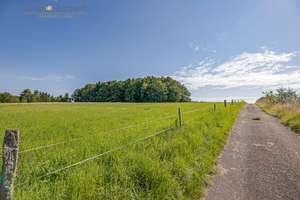 Idyllisches Zweifamilienhaus mit Pferdekoppel, großem Grundstück und grenzenloser Natur – Die vollständige Adresse der Immobilie erhältst du vom Anbieter., 64689 Grasellenbach – Vorschaubild 30