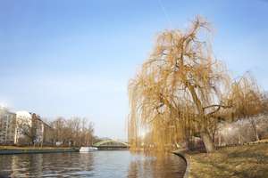 Property thumbnail 46