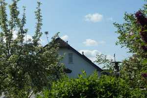 Geheimtipp! Wohnen in grüner Lage * sonnige Terrasse & Garten* PV-Anlage für autarke Stromversorgung – Nordsachsen (Kreis) – Vorschaubild 1