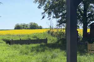 Mehrfamilienhaus in Leopoldshöhe – Lippe (Kreis) – Vorschaubild 15