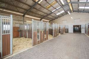 Wohnen auf dem Reiterhof – Die vollständige Adresse der Immobilie erhältst du vom Anbieter., 46284 Dorsten – Vorschaubild 11