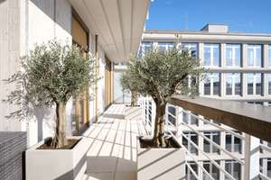5-Zimmer-Terrassenwohnung am Englischen Garten – 2 Terrassen mit Eisbach-Blick – Sederanger 3, 80538 Kleinhesselohe, München – Vorschaubild 4