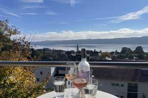 Haus am Bodensee mit   unverbaubarem, großartigen 180 Grad See- und Alpenblick – Am Schallenberg 2a, 78354 Bodenseekreis – Vorschaubild 12