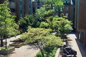 3- Zimmer- Wohnung mit Terrasse in bester Citylage - Carlstadt – Hohestr. 46, 40213 Carlstadt, Düsseldorf – Vorschaubild 20