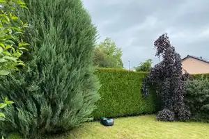 Ihr Glück hat ein Zuhause – Rheingau-Taunus-Kreis – Vorschaubild 3