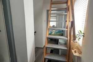 Günstiges 3,5-Raum-Reihenendhaus in Dortmund Nette  – Joachim Neander Str. 16, 44359 Dortmund – Vorschaubild 9