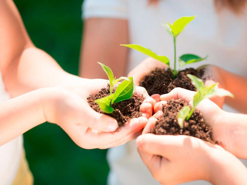 Umweltbewusst Wohnen...