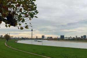 Rheinblick