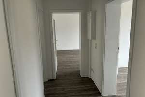 Lust auf Veränderung: ansprechende 3-Zimmer-Wohnung im Keplerkiez – Friedrich-Wöhler-Str. 11, 34127 Nord (Holland), Kassel – Vorschaubild 8