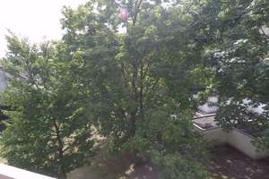 Wohnen in Misburg, Nähe Meyers Garten mit großem Balkon – 30629 Misburg-Nord, Hannover – Vorschaubild 12