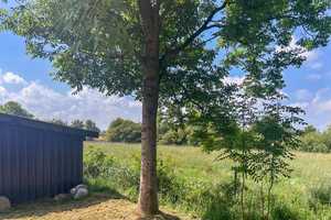 Architektenplan wartet auf Ihre Verwirklichung - zwei Wohneinheiten möglich! – Nordfriesland (Kreis) – Vorschaubild 6