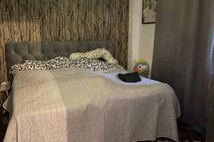 Große, schön geschnittene 2 Zimmer, Wohnküche, Diele, Bad, großer Balkon, bodentiefe Fenster – 40233 Flingern Süd, Düsseldorf – Vorschaubild 8