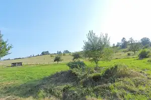 Mehrfamilienhaus mit drei Wohneinheiten, Garagen, Garten Streuobstwiese und Mega-Fernblick! – Trier-Saarburg (Kreis) – Vorschaubild 48