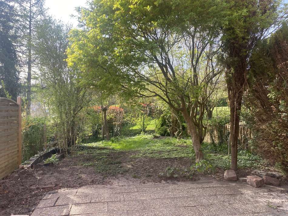 Blick in den Garten
