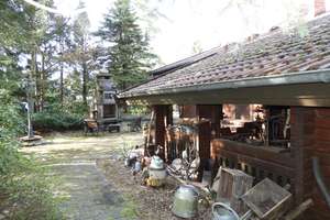 Idyllisch Wohnen im Holzhaus - mitten in der Natur! – Katenbergsheide 6, 29308 Winsen (Aller) – Vorschaubild 7