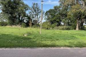 Bauernhof- Viel Platz für Mensch, Hund und Katz!  – Bernburg (Saale), Salzlandkreis, 6406 Salzlandkreis – Vorschaubild 9