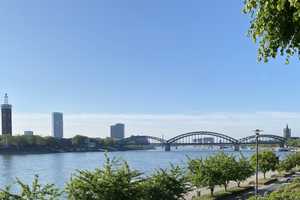 Großzügige Denkmal-Altbauwohnung mit Blick auf den Rheinpark und Balkon – Konrad-Adenauer-Ufer 65, 50668 Köln – Vorschaubild 8