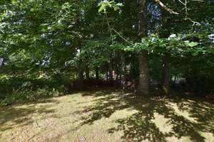 Naturnahes Wohnen, EFH, Bungalow + Garten + Waldgrundstück in Mölln Waldstadt - OTTO STÖBEN GmbH – Die vollständige Adresse der Immobilie erhältst du vom Anbieter., 23879 Mölln – Vorschaubild 30