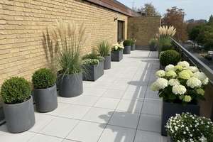 Property thumbnail 23