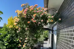 Schöppingen  – Steinfurt (Kreis) – Vorschaubild 23