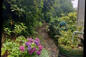 Renovierte 3-Zi.-Whg, Küche, Diele, Bad mit Terrasse u. gr. Garten – Schwarzer Weg 229, 42117 Elberfeld West, Wuppertal – Vorschaubild 13