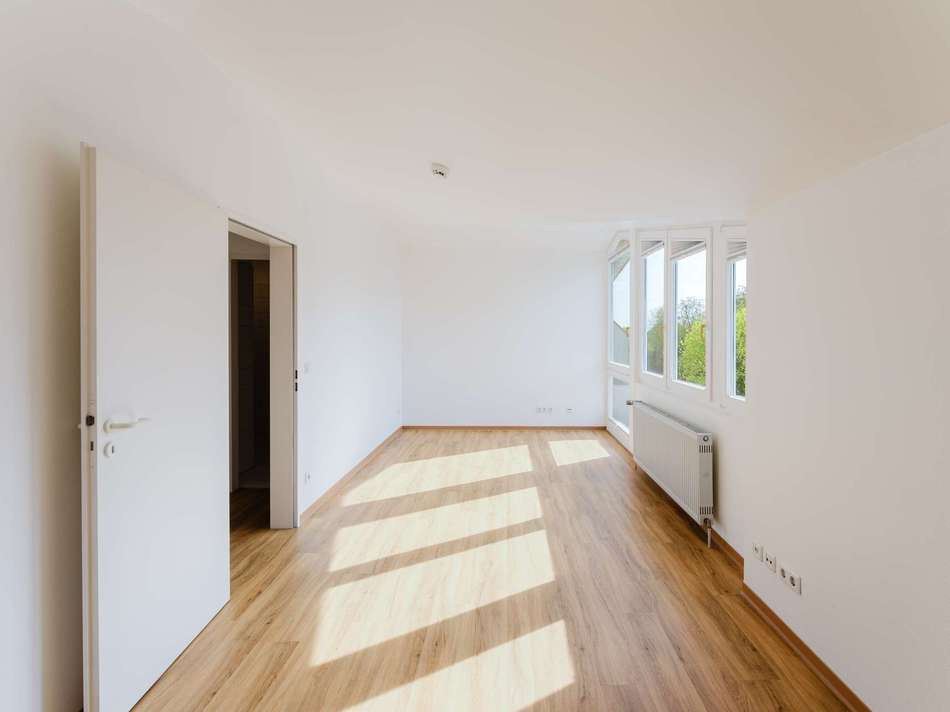Wohn- und Schlafzimmer III