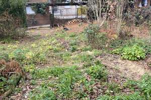 Einfamilienhaus (Handwerkerobjekt) Berlin Tegel (Reinickendorf) – Finnentroper Weg 12, 13507 Tegel, Berlin – Vorschaubild 18