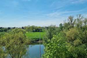 Schmuckes TOP 2-3-FH mit schönem Garten u. Neckarblick  in Ilvesheim - 30003848 – Rhein-Neckar-Kreis – Vorschaubild 43