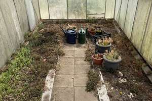 Neuer Preis, bezugsfreien Traumhaus mit einem großem Garten! – Die vollständige Adresse der Immobilie erhältst du vom Anbieter., 17091 Knorrendorf – Vorschaubild 32