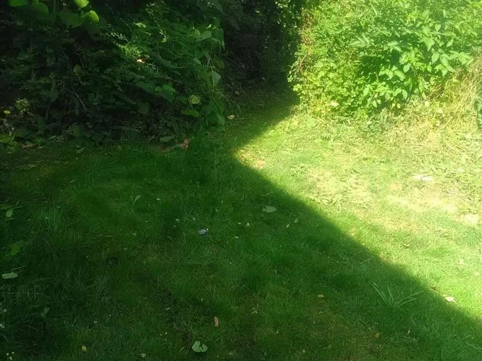 Garten4